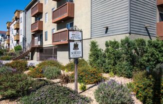 1 bed, 1 bath, 644 sqft, $1,850, Unit 12