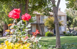 1 bed, 1 bath, 476 sqft, $1,995, Unit 17