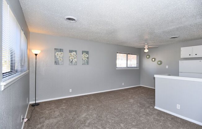 1 bed, 1 bath, 700 sqft, $784, Unit 3165-E