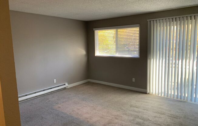 1 bed, 1 bath, 735 sqft, $1,695, Unit 3
