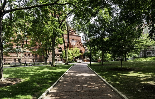 A pathway in a park with trees on both sides.