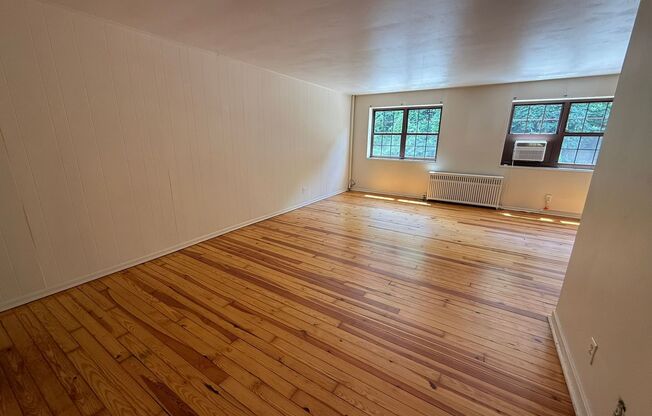 Studio, 1 bath, 487 sqft, $1,250, Unit Fifth 206