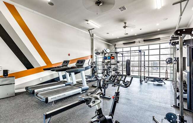 a gym with cardio machines and weights on the floor and a window