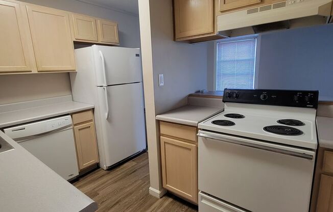 2 beds, 1 bath, 800 sqft, $1,125, Unit Apt 303