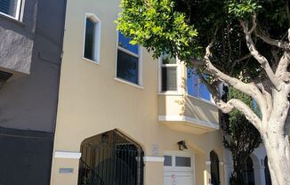 3343 Buchannan Street
