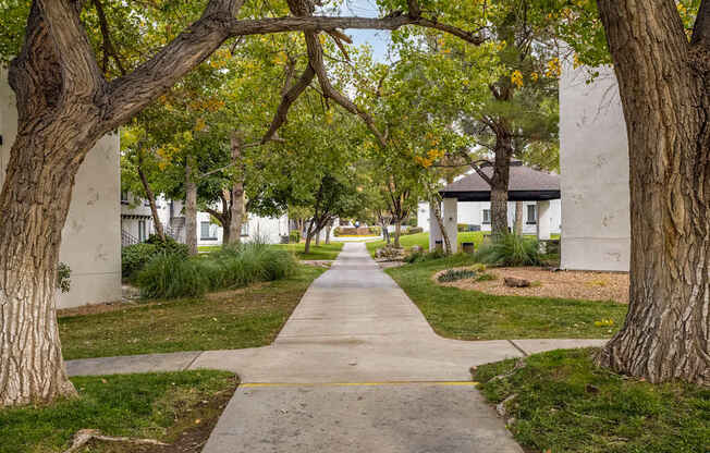 sidewalk through trees and buildings at thevillage at legacy