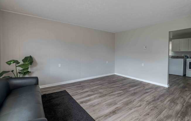 a living room with a couch and a plant at Fay Street Apartments, Winchester