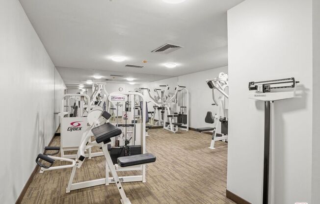 2 beds, 2 baths, 1,172 sqft, $3,850, Unit 905