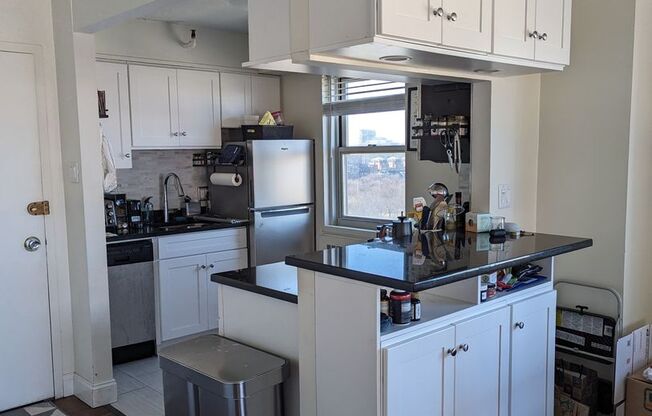 1 bed, 1 bath, 606 sqft, $3,300, Unit 1501