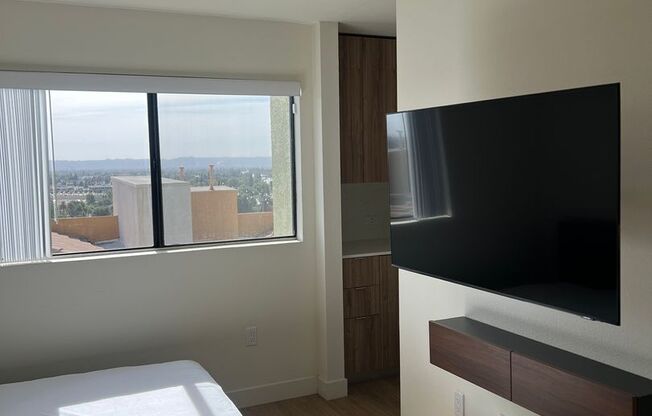 Studio, 1 bath, 181 sqft, $1,595, Unit 117B