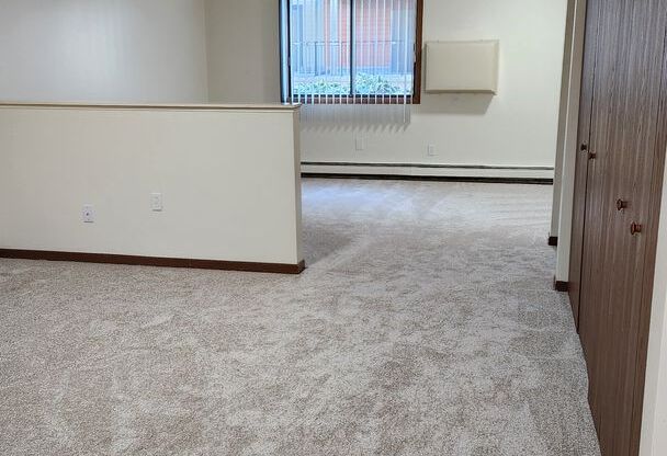 Studio, 1 bath, 480 sqft, $1,000, Unit 108