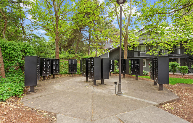 A series of black signs with white numbers are lined up in a park.