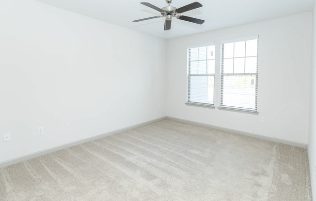 Carpeted Bedroom