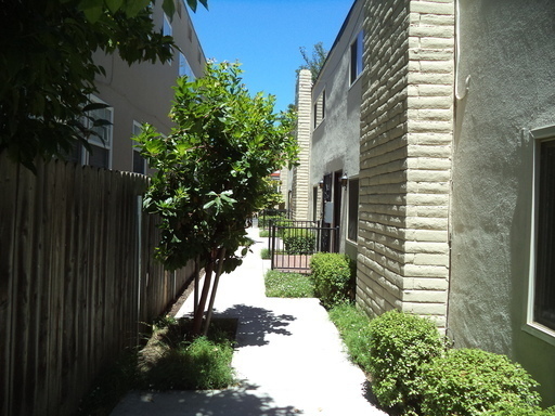 P.3308