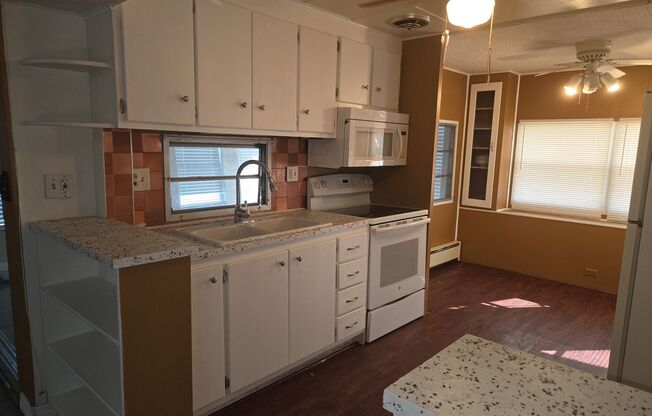 1 bed, 1 bath, $1,250