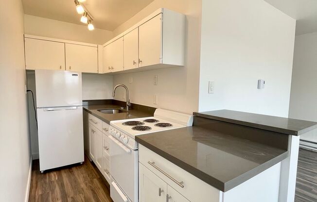 Studio, 1 bath, 370 sqft, $1,450, Unit 204