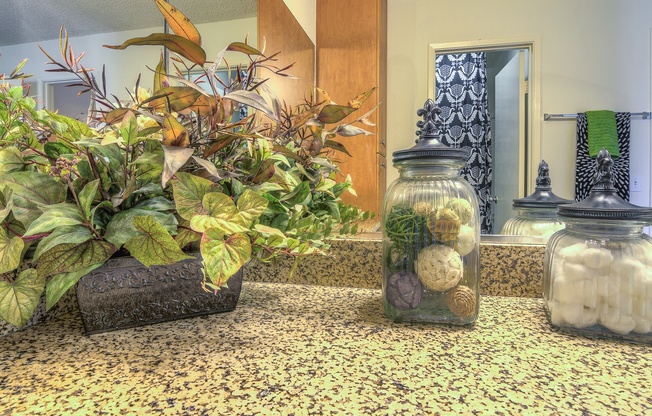 A plant in a pot sits on a countertop next to a jar with a plant inside.