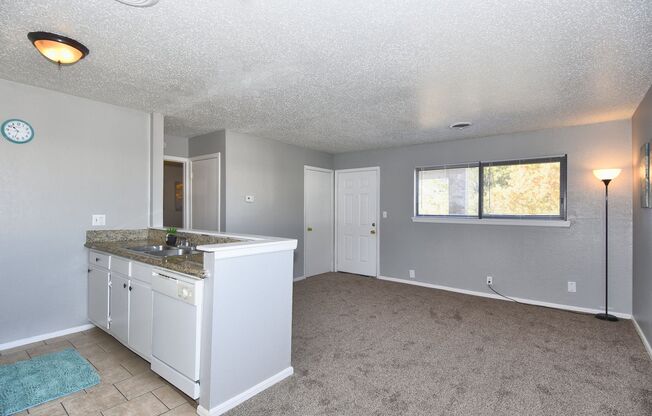 1 bed, 1 bath, 700 sqft, $784, Unit 3165-E