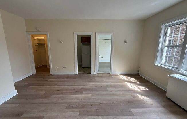 Studio, 1 bath, 308 sqft, $1,175, Unit Bayard Manor 202