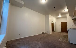 Studio, 1 bath, 315 sqft, $1,100