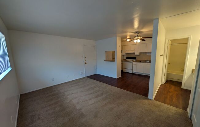 Studio, 1 bath, 415 sqft, $695, Unit 1127