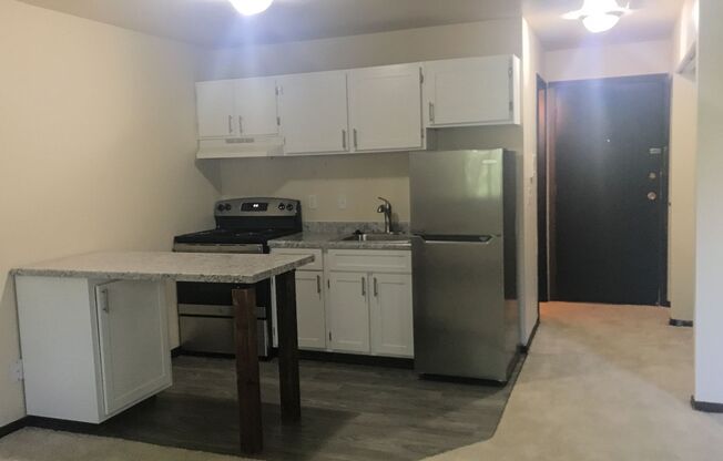 Studio, 1 bath, 300 sqft, $1,295, Unit 102-314