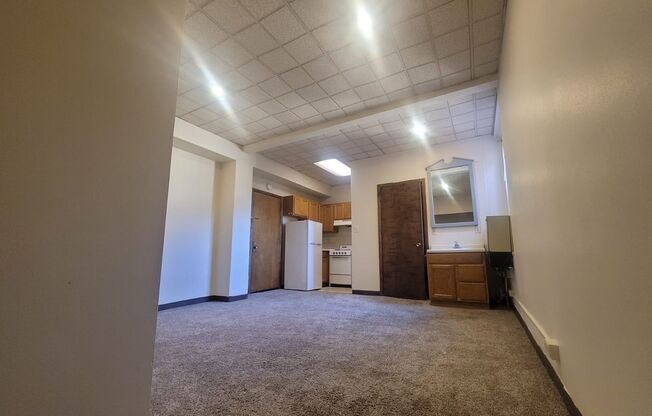 1233 Marshall / 1222-36 Cass
