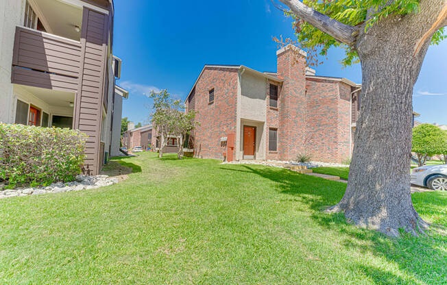 A tree in a yard in front of a house.