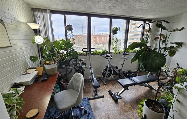 1 bed, 1 bath, 833 sqft, $3,150, Unit 5A