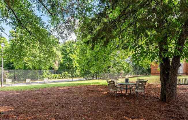 A park with a table and chairs under a tree.