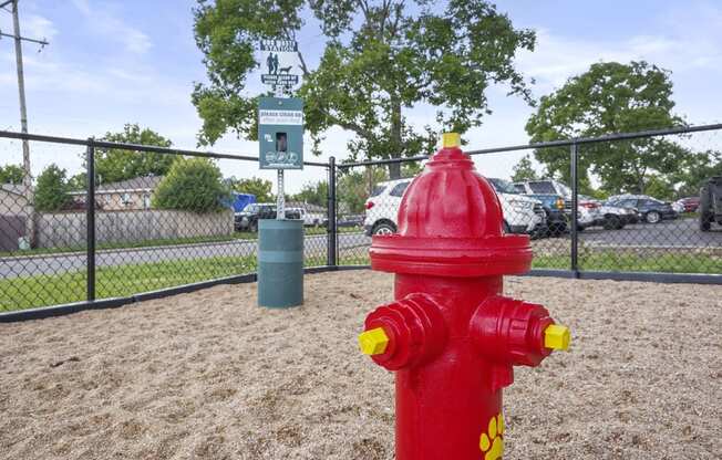 Dog Agility Park at Hilltop View Apartments