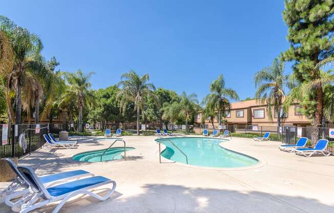 our apartments have a large pool with chairs and palm trees