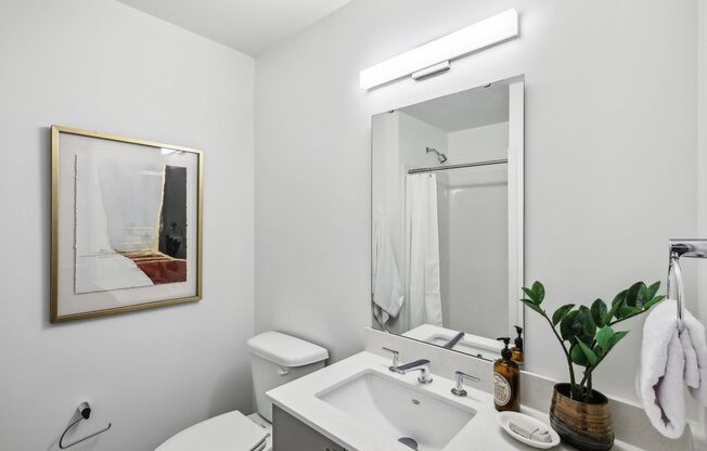 Studio, 1 bath, 308 sqft, $1,450, Unit 534