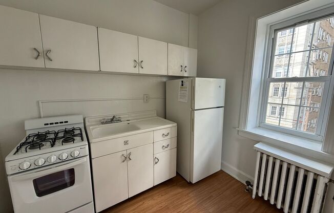 Studio, 1 bath, 401 sqft, $1,200, Unit Bayard Manor 309