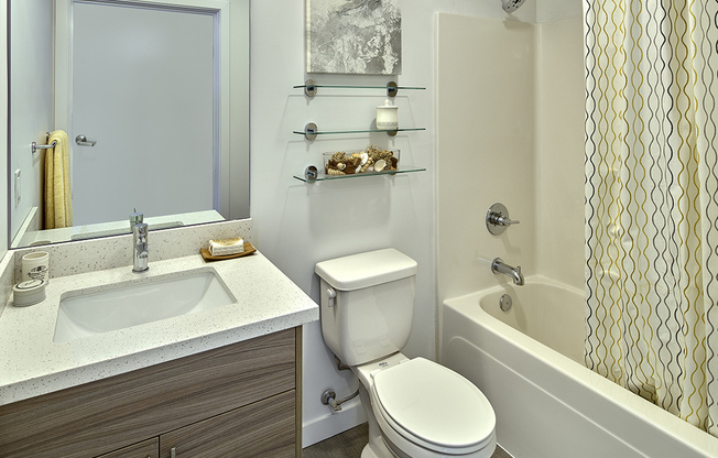 Studio, 1 bath, 325 sqft, $1,505, Unit 512