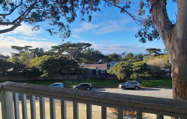 Ocean View at Pacific Grove
