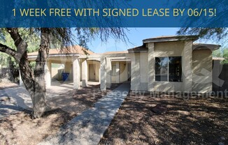 20429 N 21 DR
