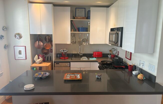 Furnished One Bedroom Condo near Union Square and the Financial District