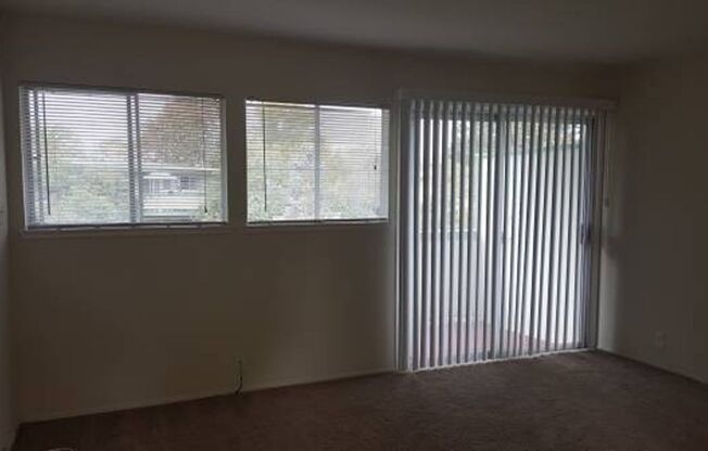 1 bed, 1 bath, $2,500, Unit 5