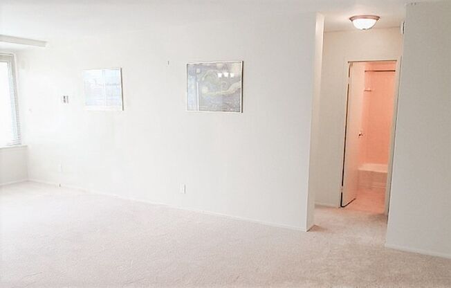 Large & Sun-Filled 1 Bedroom 1 Bathroom Condo In Taft Towers - Utilities Included