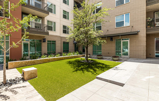 A tree in a courtyard surrounded by buildings.