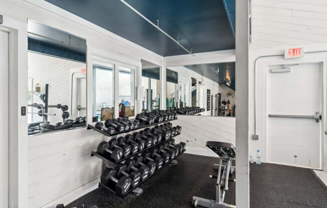 A gym with a row of dumbbells and a bench.
