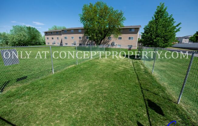 Studio, 1 bath, 360 sqft, $710, Unit 302