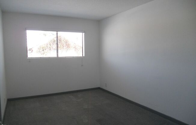 2 beds, 1 bath, 900 sqft, $3,115, Unit C203