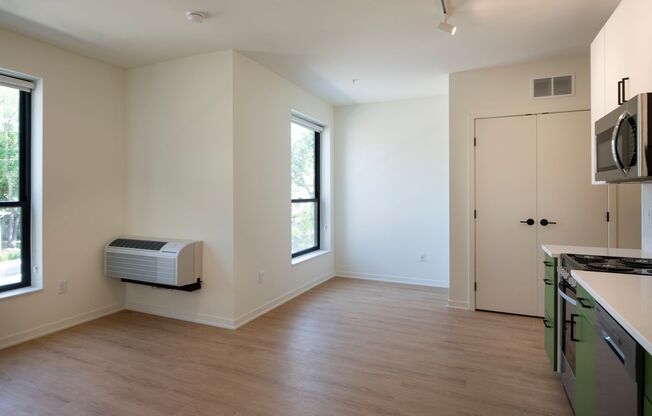 Studio, 1 bath, 394 sqft, $1,236, Unit 307