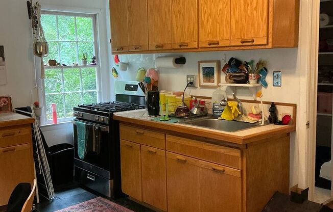 1 Bedroom/1 bathroom Basement Apartment in Forest Heights