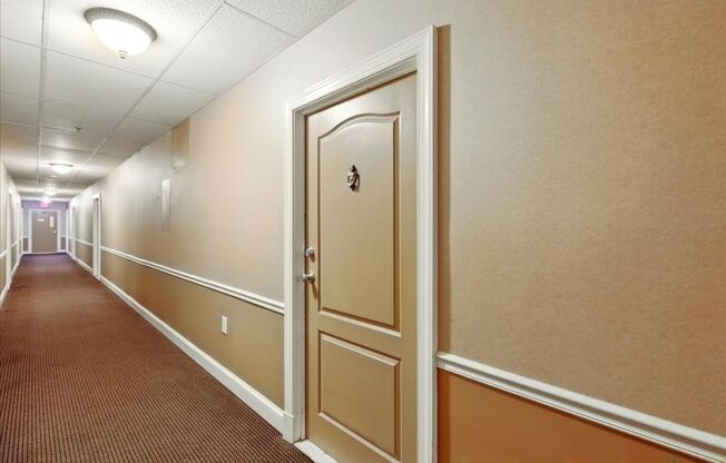 Spacious 1-bedroom, 1-bath condo