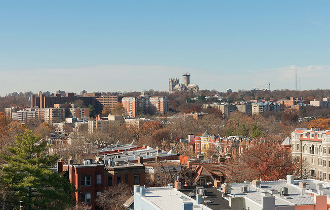 Rooftop deck with grills view at The Melwood, Washington, 20009