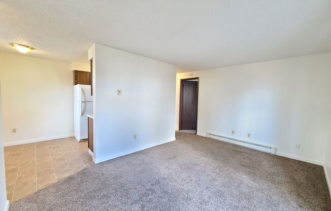 1 bed, 1 bath, 500 sqft, $950, Unit 721 S Lincoln Pl #2