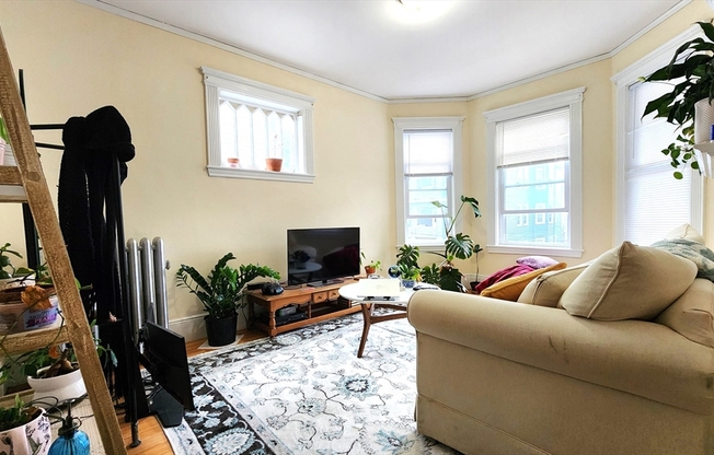 6 NEWTON ST